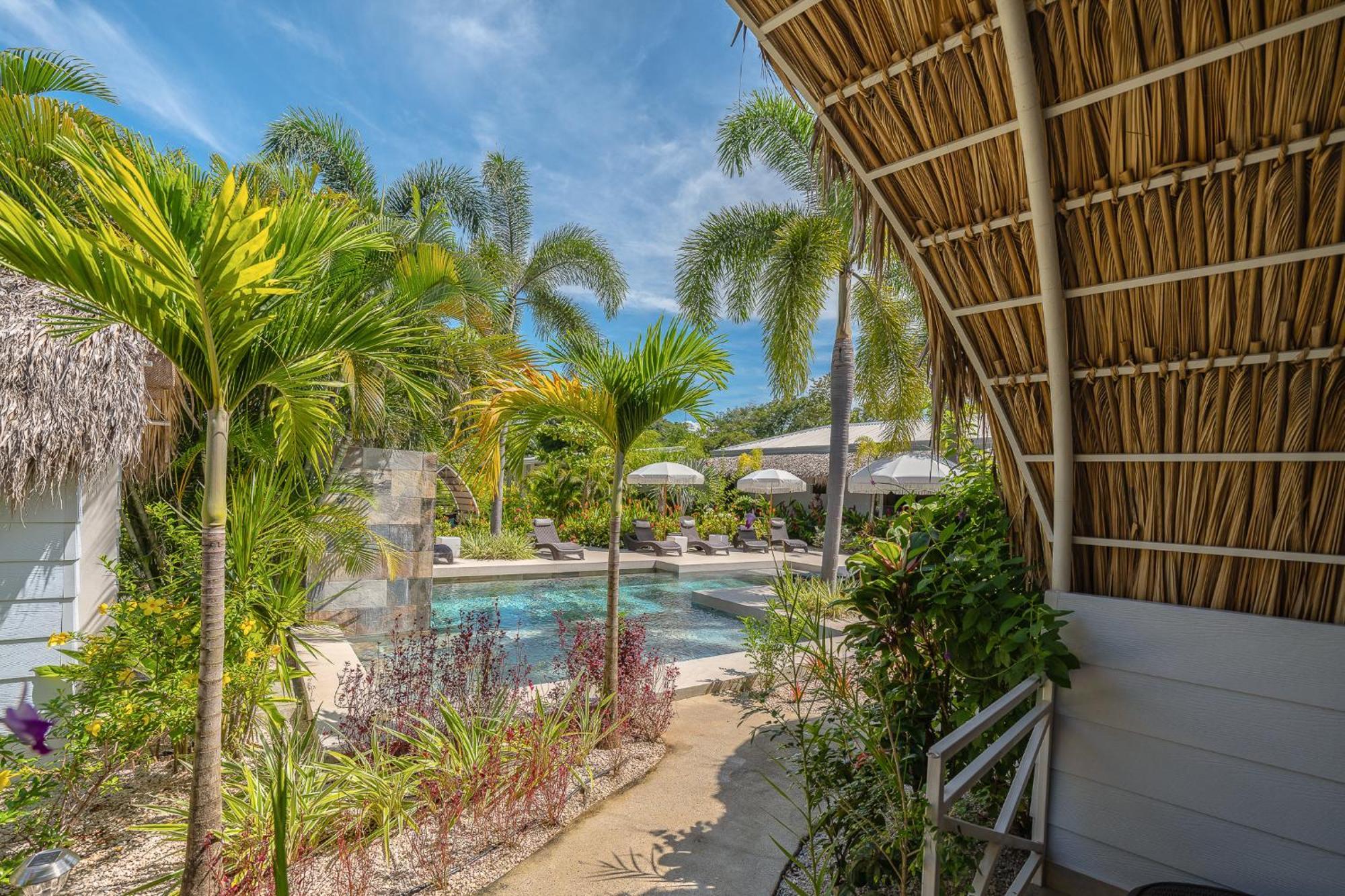 Les Voiles Blanches - Luxury Lodge Tamarindo Szoba fotó
